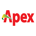 Apex logo
